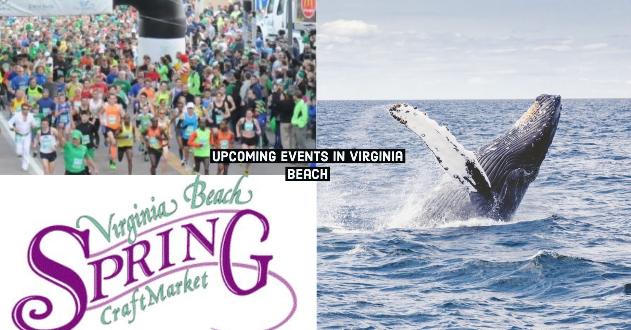 Things to do in March in Virginia Beach | Virginia Beach Hotels
